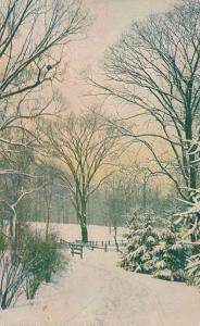 Winter Scene - Mailed to Rochester NY - DPO Barnard NY 1908 - DB