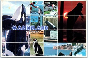 Postcard - Marineland - California