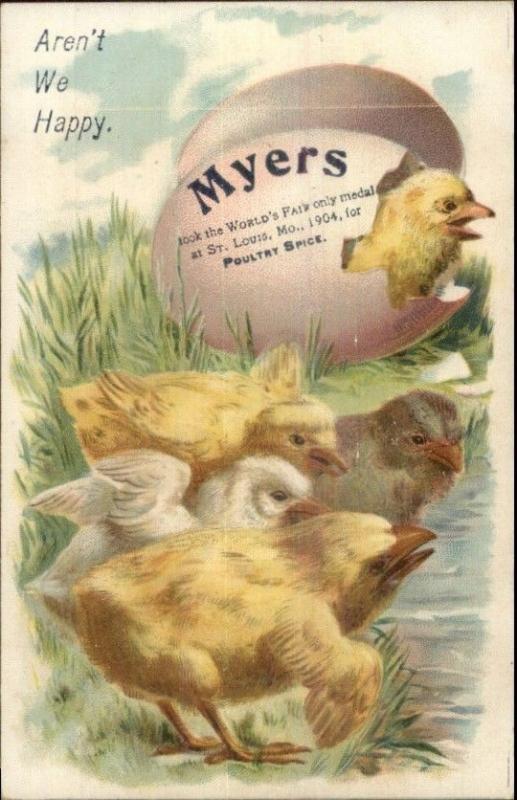 1904 St. Louis World's Fair Myers Poultry Spice Chicks Niagara Falls PC/Card