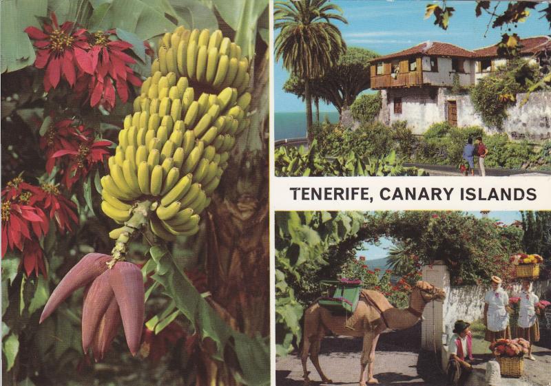 Postal 60770: Varios motivos (Tenerife)