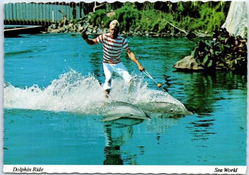 Postcard - The Roman Ride, Dolphin Show, Sea World - Orlando, Florida 