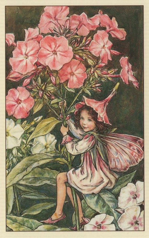 Phlox Fairy Fairies From WW2 War Book Stunning Postcard