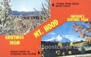 Oregon's Sentinel Peak - Mt Hood