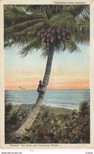 Greetings from Jamaica, 1900-10s