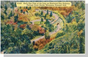 Smoky Mountains National Park,North Carolina/NC-TN Postcard,Loop Newfound Gap