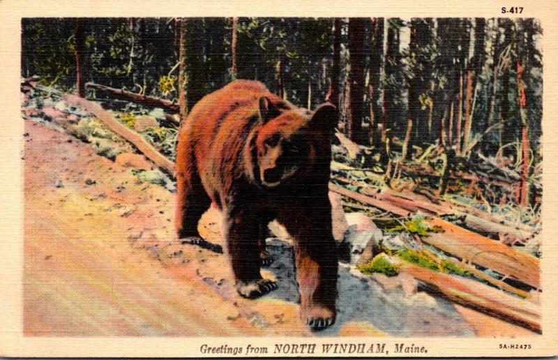 Maine Greetings From North Windham 1938 Curteich