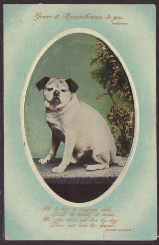 Grace and Remembrance to You,Dog Postcard 