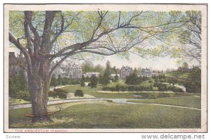 The Arboretum, IPSWICH, Suffolk, England, UK, 1910-1920s