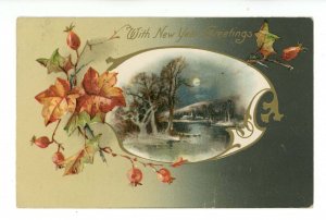 Greeting - New Year                        (Winsch, tear)