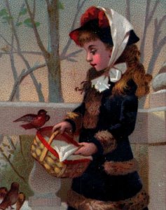 1870s-80s Raphael Tuck & Sons New Year's Card Girl Feeding Wild Birds F142