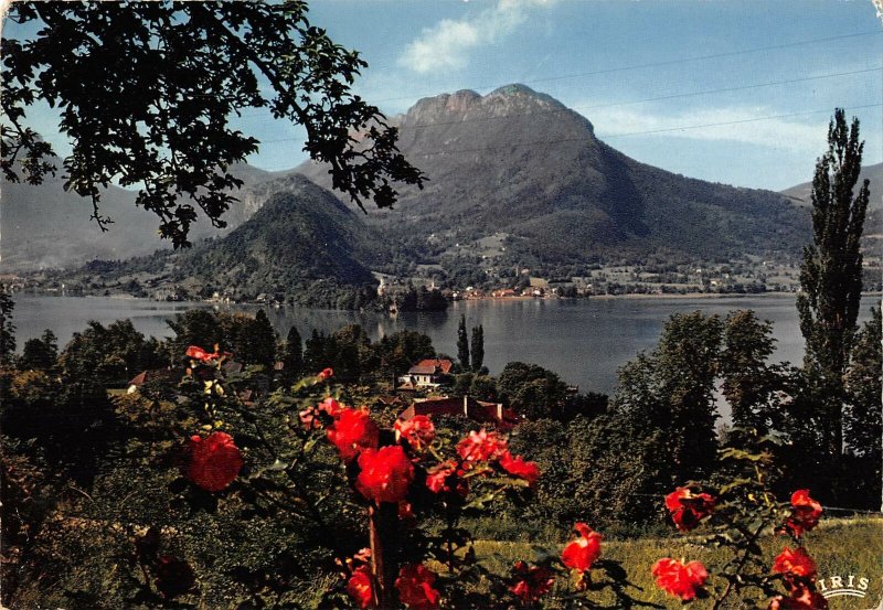 B108510 France Lac d'Annecy Baie Talloires Panorama Lake Flowers real photo uk