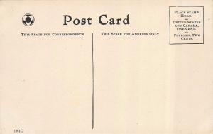 CHICAGO, IL  Illinois   LAKE SHORE DRIVE Street Scene HOMES   c1910's Postcard