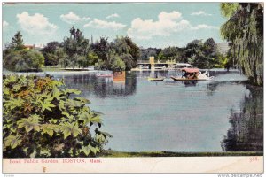 Pond Public Garden, BOSTON, Massachusetts, 1900-1910s