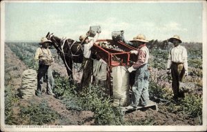 Farming Agriculture Potato Sorter Machine & Farmers c1910 Detroit Publishing