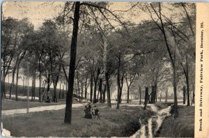 1911 Brook and Driveway Fairview Park Decatur IL Postcard