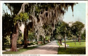 Oaks Bonaventure Cemetery Savannah GA Vintage Postcard