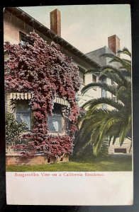 Vintage Postcard 1907-1915 Bouganvillea on a California Residence (CA)