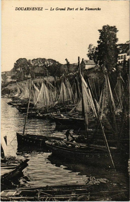 CPA Douarnenez- Le Grand Port et les Plomarchs FRANCE (1025856)