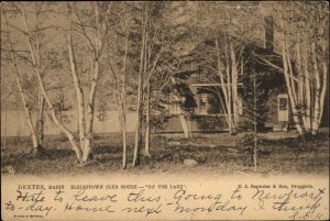 Tuck Dexter Maine ME Elkinstown Club House c1910 Vintage Postcard