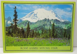 Mount Rainier National Park Vintage Postcard