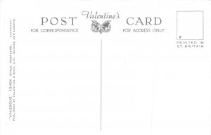 US50 UK England New Forest ponies animal