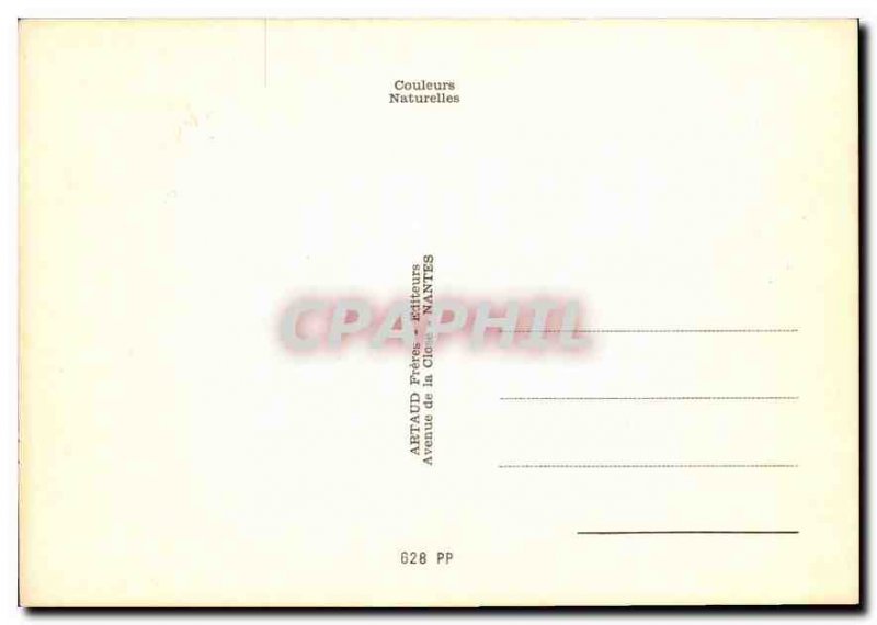 Postcard A Modern yours Etienne Monkey Chimpanzee