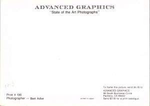 1960s Red Dodge Charger by Moonlight Oversize Advertising Postcard