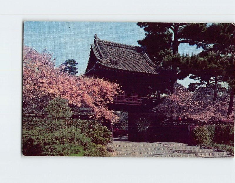 Postcard Japanese Tea Garden Golden Gate Park San Francisco California USA