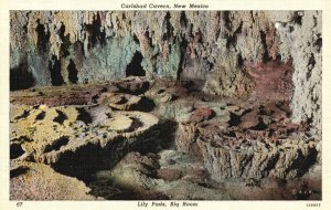 Vintage Postcard Lily Pads Big Room Formation Carlsbad Cavern New Mexico NM