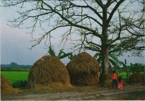 CPM Que Huong - Route du Village VIETNAM (1068996)