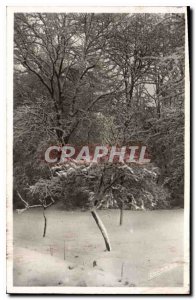 Postcard Old St Jeoire Haute Savoie Cyclamen Home Children A corner of the pa...