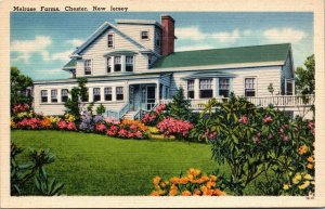 Vtg Chester New Jersey NJ Melrose Farms 1940s Linen Postcard