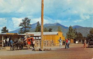 Flagstaff Arizona Buffalo Park Street View Vintage Postcard K90849