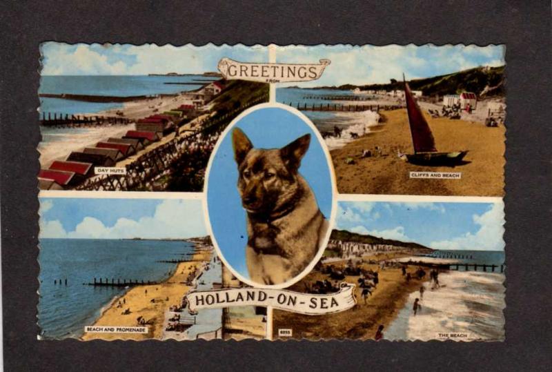 UK Greetings From Holland On Sea England British Dog Essex Great Postcard