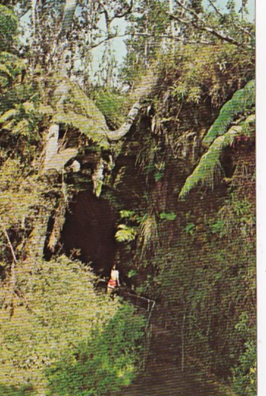 Hawaii Volcanaoes National Park Thurston Lava Tube