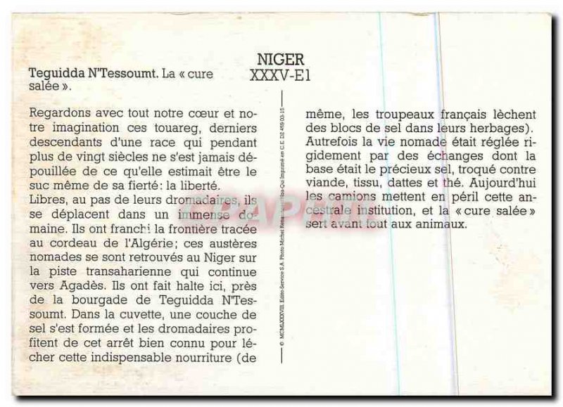 Postcard Modern Niger Teguidda N'Tessount