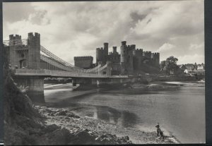 Wales Postcard - Conway Castle, Caernarvonshire   RR3278