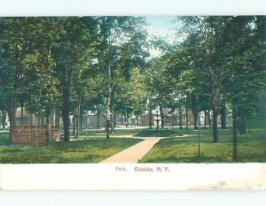 Unused Pre-1907 PARK SCENE Oneida New York NY n5340