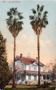 FRESNO CALIFORNIA POSTMARK TALL PAN  PALMS EDWARD MITCHELL POSTCARD c1912