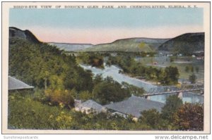 New York Elmira Birds Eye View Of Rorick's Glen Park and Chemung River
