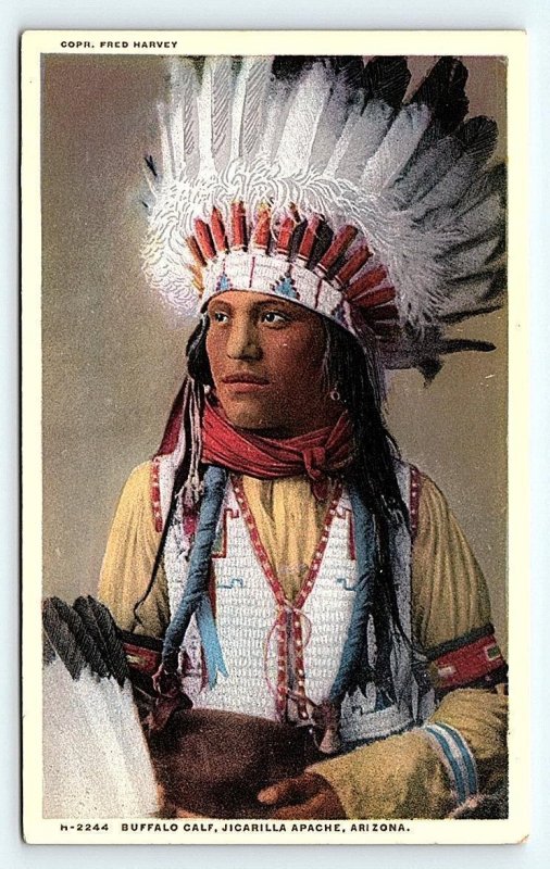 ARIZONA ~ BUFFALO CALF Native American APACHE c1910s Fred Harvey c1910s Postcard