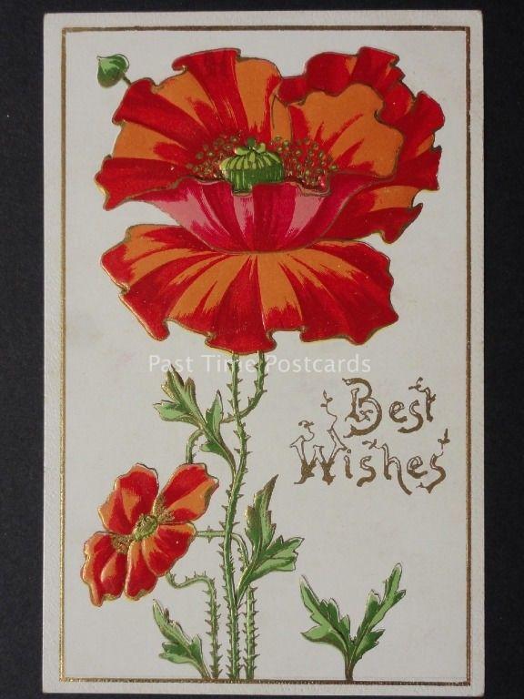 Art Nouveau Embossed Poppies Postcard c1908