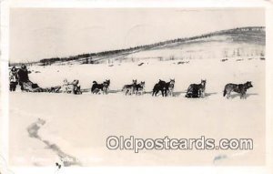 Famous Alaska Dog Team 1949 