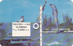 Buttons The Jumping Porpoise Theatre Of The Sea Islamorada Florida