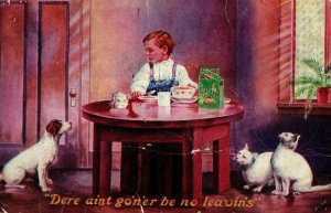 Circa 1910 Egg-O-See Advertising Postcard Young Boy With Cats Dog Cute  P2