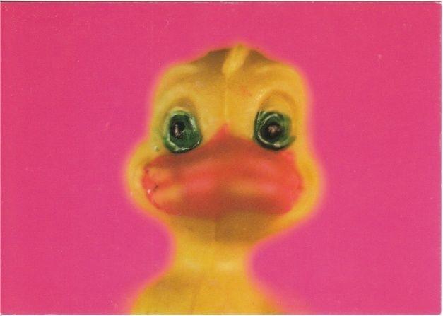 Postcard of Psychotic Rubber Duck Insane Ducky Postcard