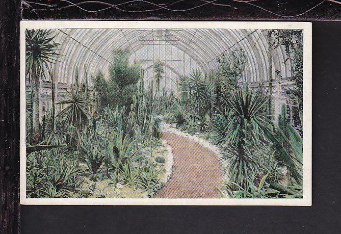 Missouri Botanical Gardens,St Louis,MO Postcard 