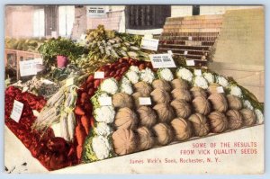 1910's VICK'S SEEDS VEGETABLE MARKET DISPLAY ANTIQUE ADVERTISING POSTCARD