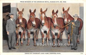 Prize Winners at the American Royal - Kansas City , Kansas KS