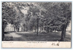 1905 College Campus Building Dirt Road And Trees Mt. Morris Illinois IL Postcard